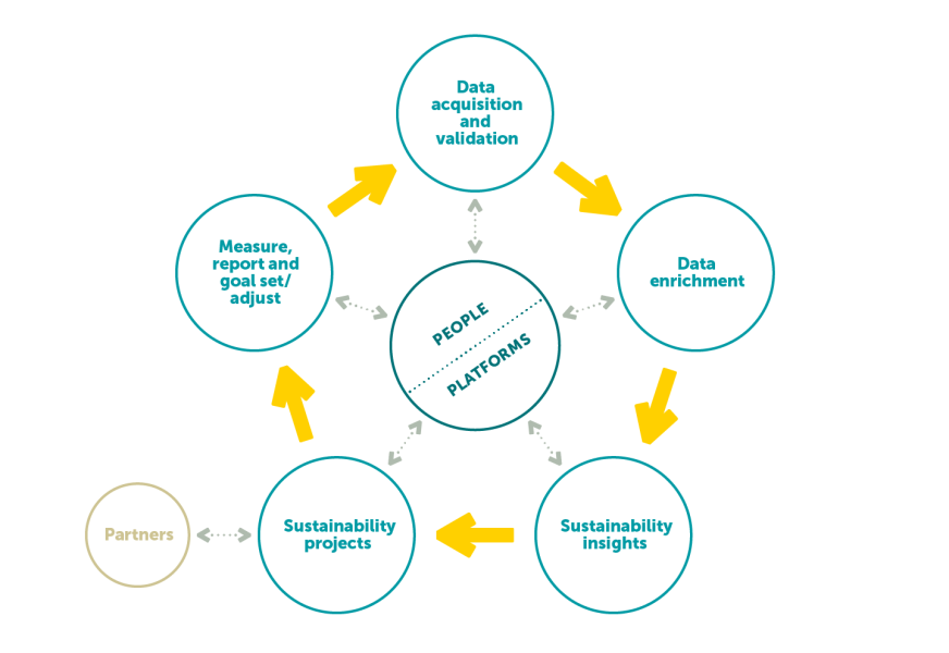 SEFirst Ecosystem101 An illustration of a sustainability ecosystem